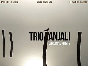 Trio ANJALI – Cardinal Points