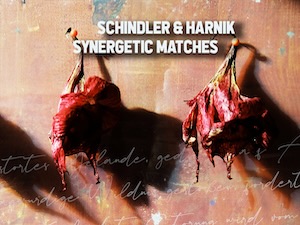 …& Udo Schindler – Synergetic Matches